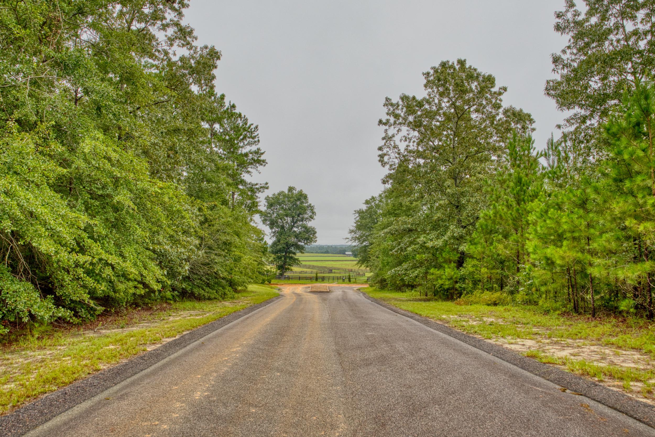 Lot 5 Cooks Pond Road Windsor, SC 29856 - Photo 20 of 23