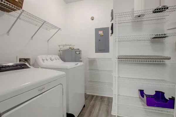 a view of ocean with a palm tree