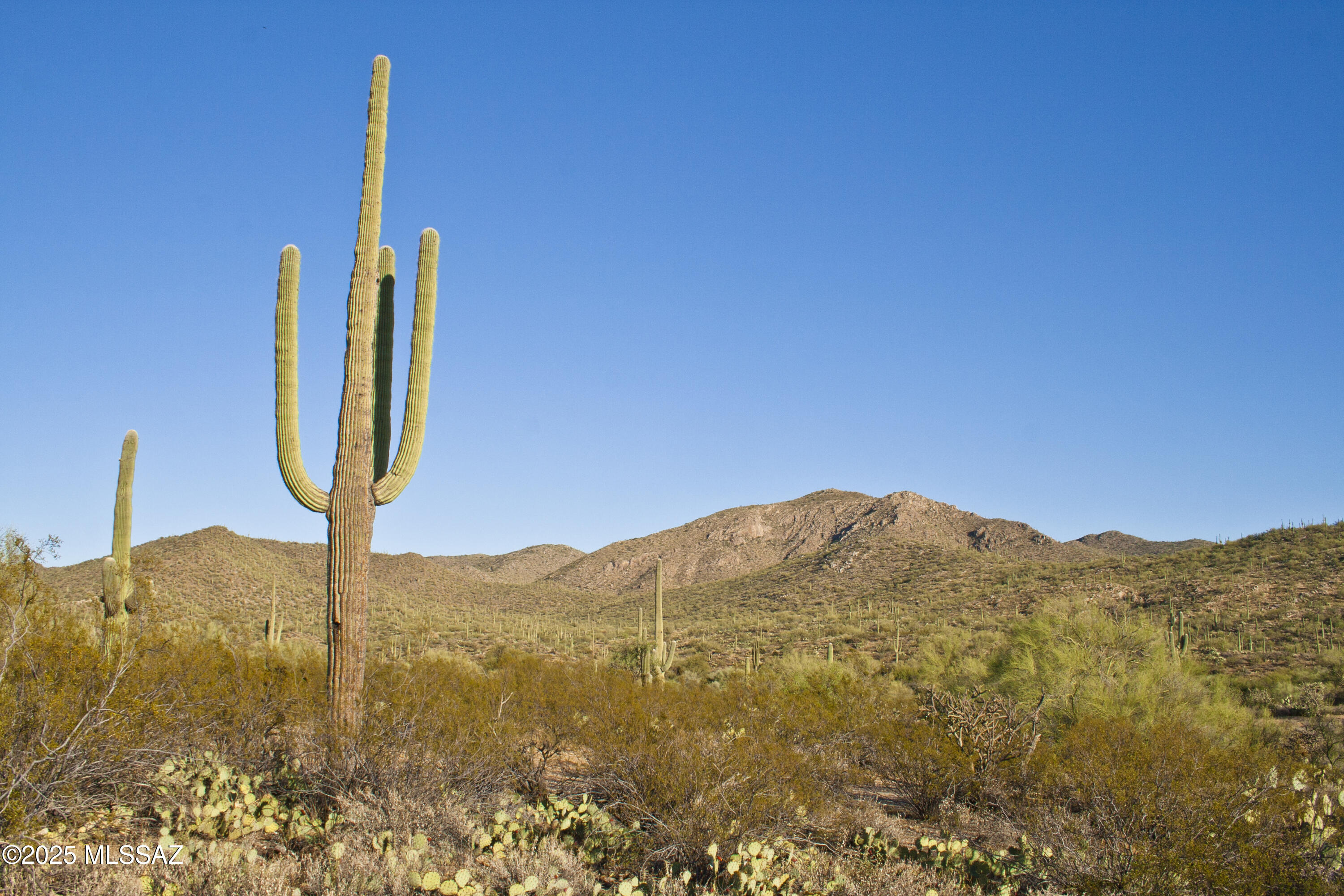 0 Silverian Road Marana, AZ 85658 - Photo 20 of 32