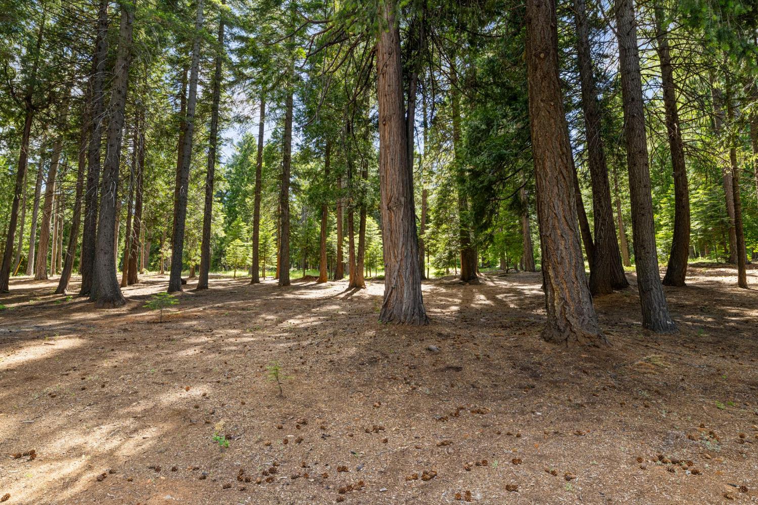 3070 Crystal Summit Road Pollock Pines, CA 95726 - Photo 56 of 76