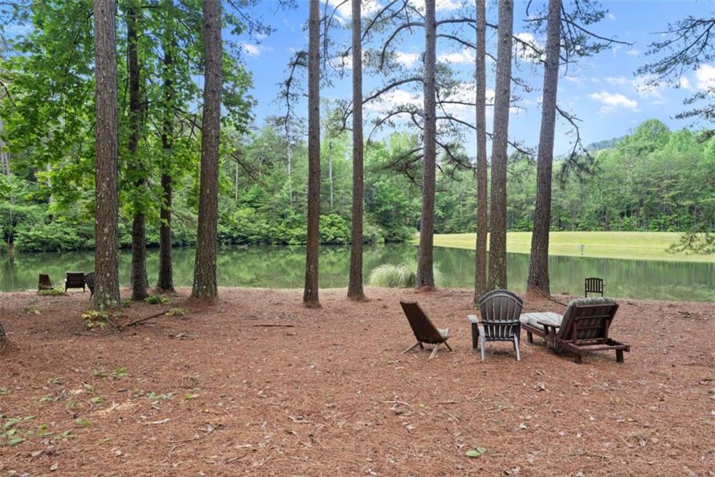 404 Golden Delicious Road Clarkesville, GA 30523 - Photo 56 of 100