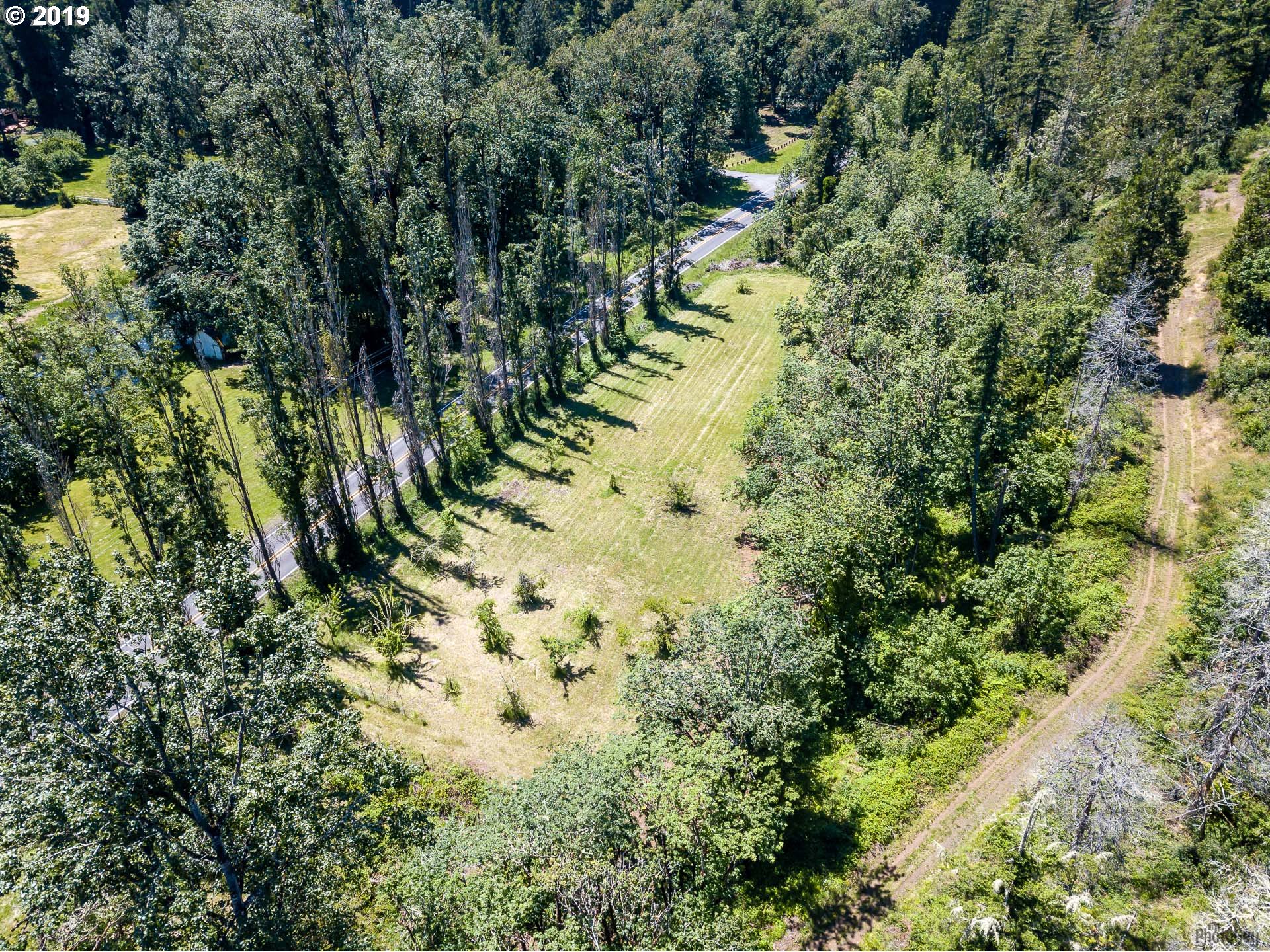 39639 Jasper Lowell Road Lowell, OR 97452 - Photo 28 of 32 a view of a forest with a tree
