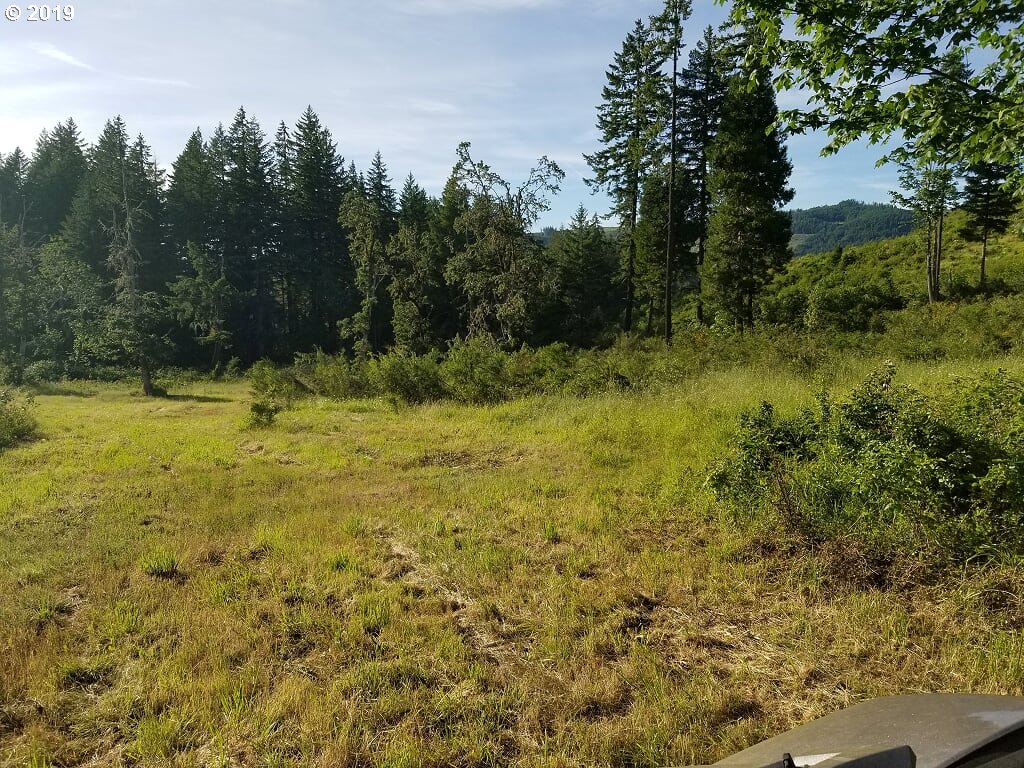39639 Jasper Lowell Road Lowell, OR 97452 - Photo 29 of 32 a view of a yard with large trees
