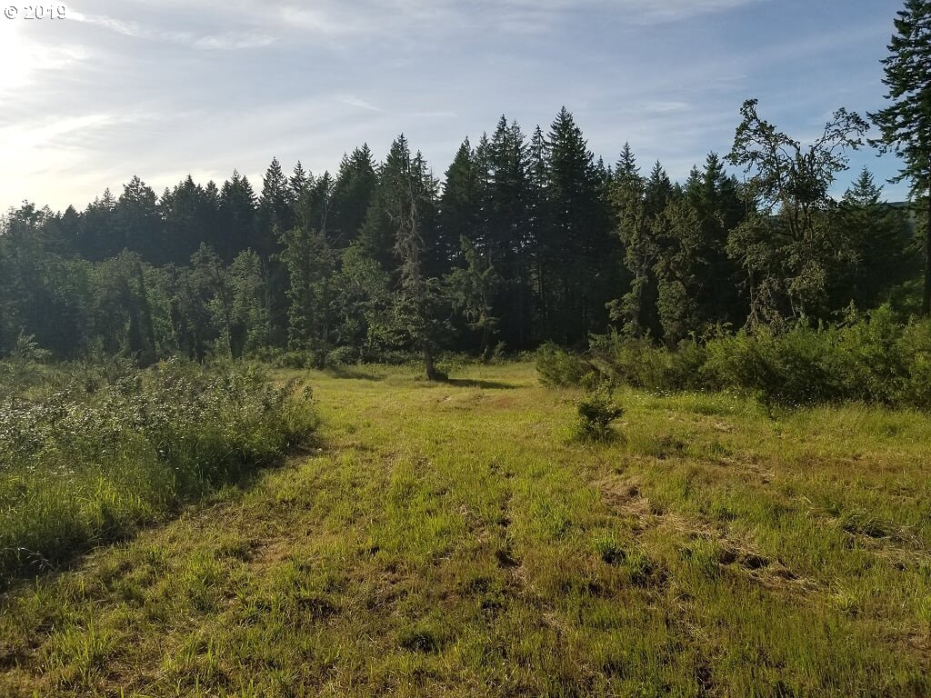 39639 Jasper Lowell Road Lowell, OR 97452 - Photo 30 of 32 a view of a yard with trees in the background