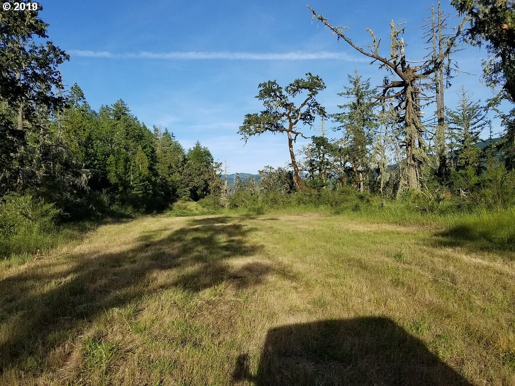 39639 Jasper Lowell Road Lowell, OR 97452 - Photo 31 of 32 a view of a yard