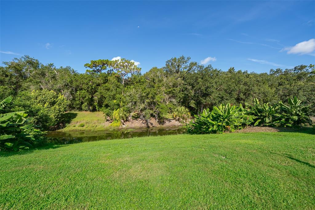 3916 Atrium Drive, Unit 4 Orlando, FL 32822 - Photo 26 of 71 a view of a field with a tree in the background