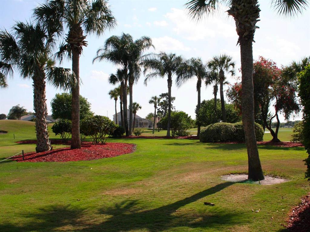 3916 Atrium Drive, Unit 4 Orlando, FL 32822 - Photo 44 of 71 a view of a park with palm trees