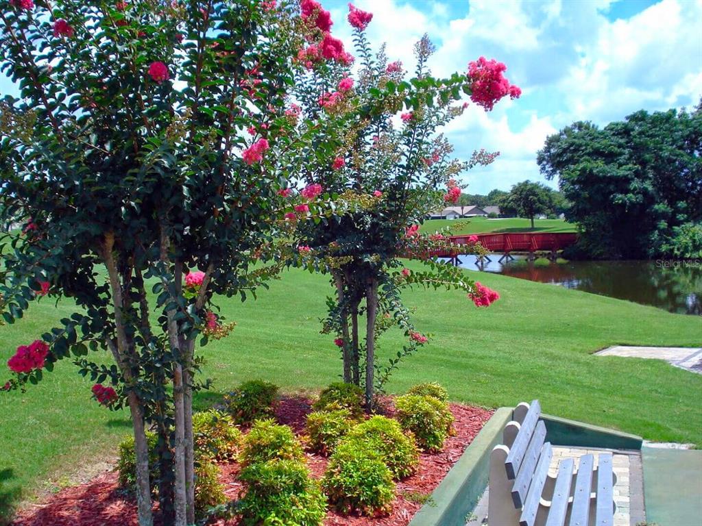 3916 Atrium Drive, Unit 4 Orlando, FL 32822 - Photo 45 of 71 a view of a flower in a garden