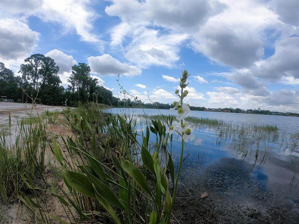 3916 Atrium Drive, Unit 4 Orlando, FL 32822 - Photo 53 of 71 a view of a lake from a yard