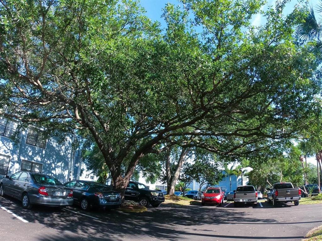 3916 Atrium Drive, Unit 4 Orlando, FL 32822 - Photo 63 of 71 a view of street with parked cars