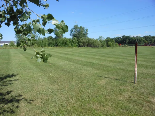 $65,000 | Lot 4 Southeast Abbott Drive, Willmar, MN 56201