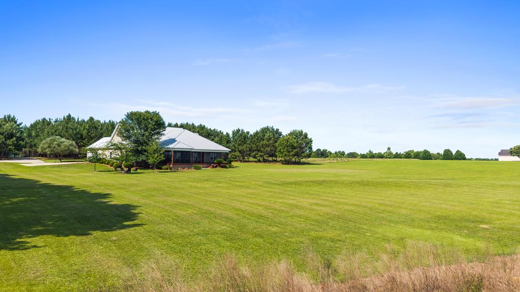 971 Edsel Deese Road Ashford, AL 36312 - Photo 64 of 67