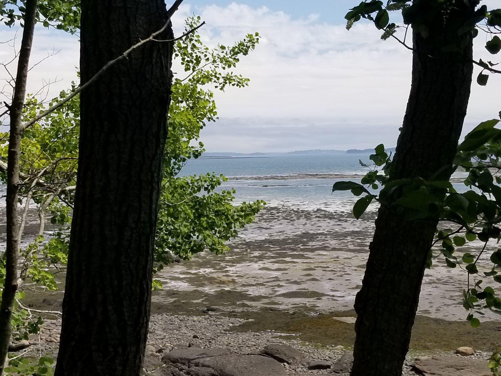 0 Lincoln Cove Road Perry, ME 04667 - Photo 24 of 53 e Waterview from lot 4