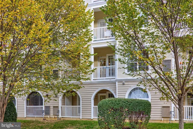 front view of a house with a tree
