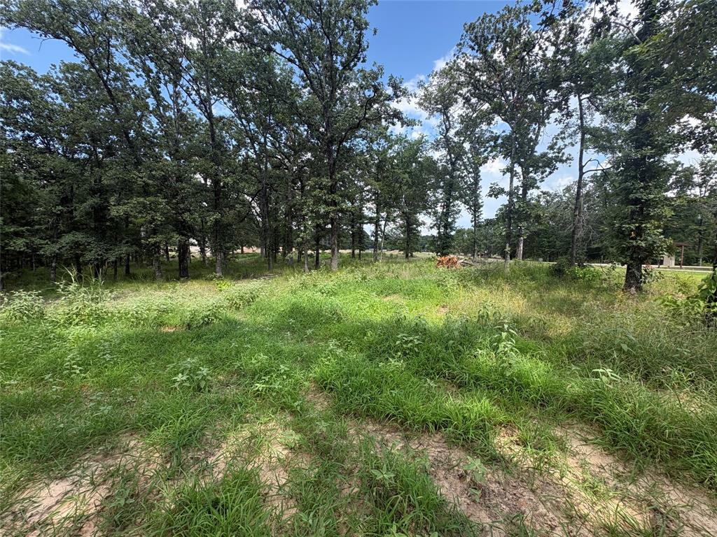 5948 Rd Yantis Tx 75765 Road, Unit 23 Yantis, TX 75497 - Photo 9 of 11