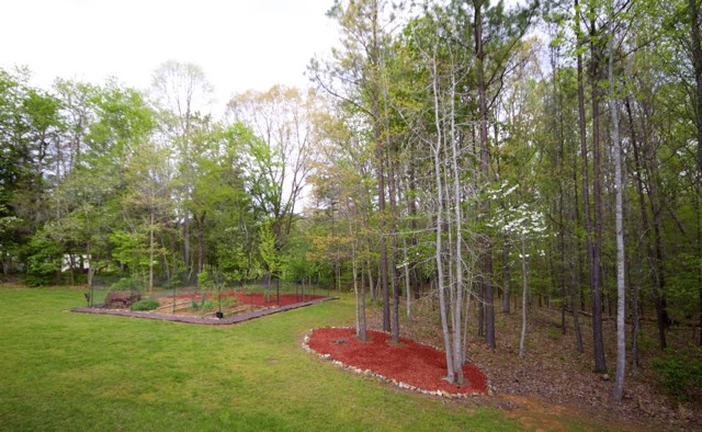 4031 Venable Road Kents Store, VA 23084 - Photo 47 of 47 a view of a park