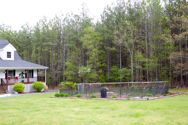 4031 Venable Road Kents Store, VA 23084 - Photo 6 of 47 a view of a house with swimming pool and a yard