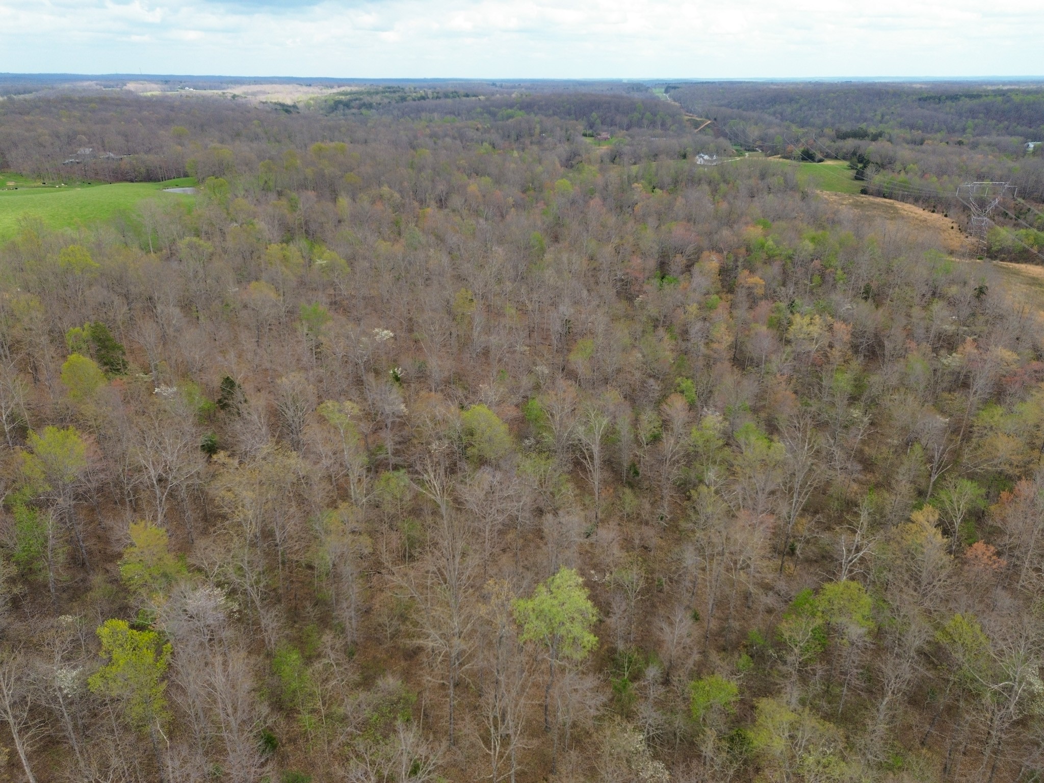 0 Mcelhiney Road Dickson, TN 37055 - Photo 55 of 56 Gallery Image 55