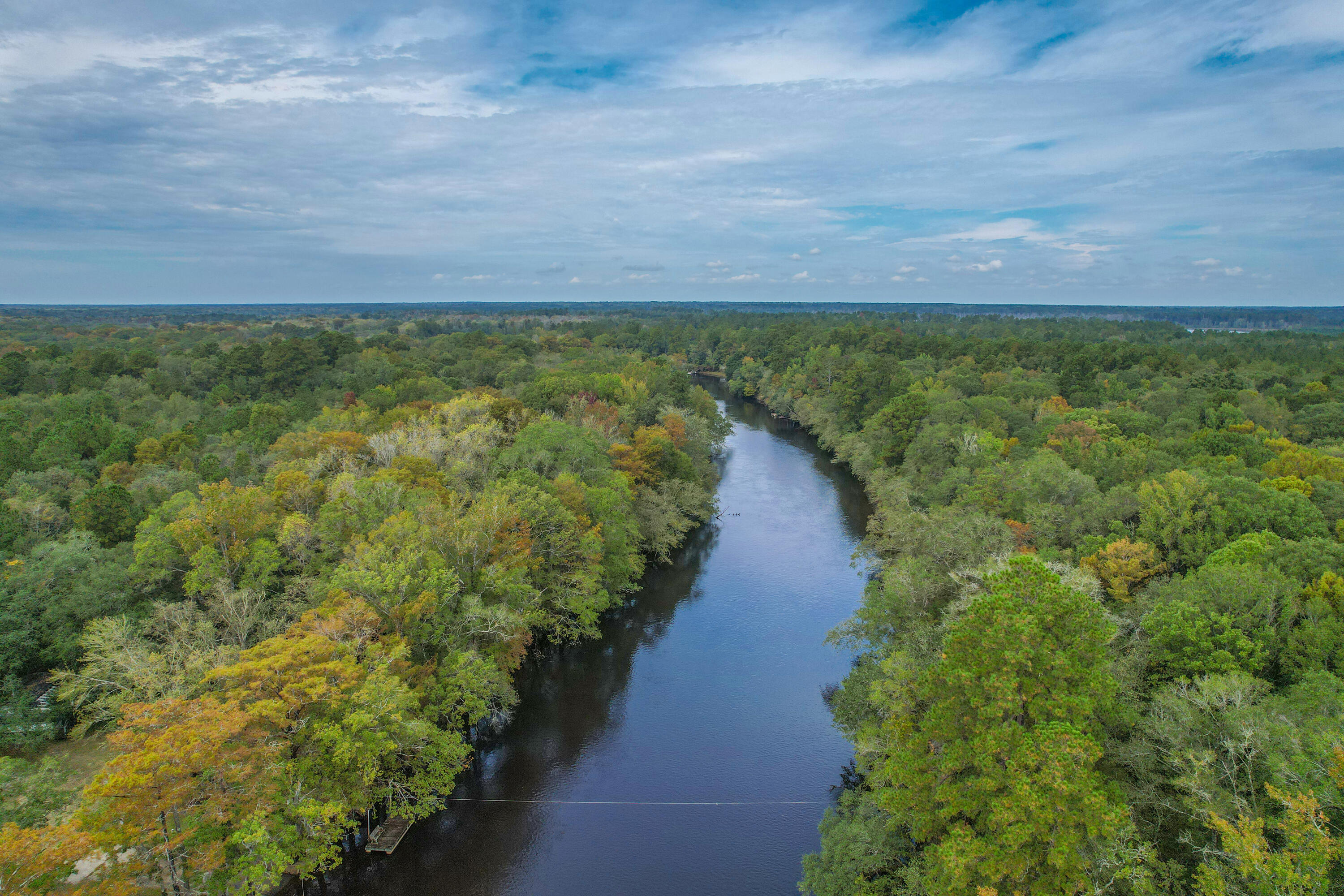 14 Sawyer Ridgeville, SC 29472 - Photo 16 of 26 DJI_0003