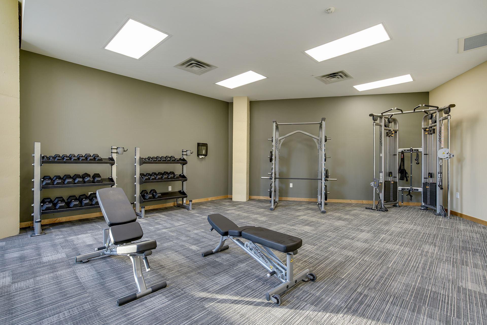 1240 South 2nd Street, Unit 225 Minneapolis, MN 55415 - Photo 46 of 53