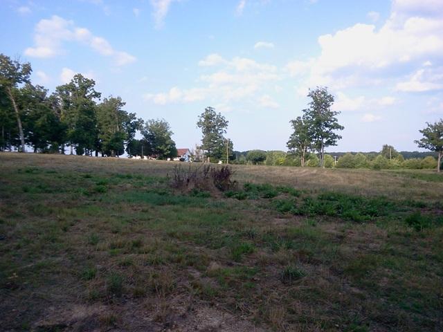 1206 Denny Road Dickson, TN 37055 - Photo 19 of 20 Partial view of Pasture next to the barn
