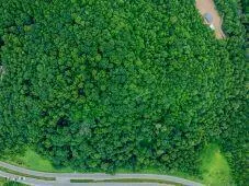 $85,000 | 0 North Turkey Cove, Big Stone Gap, VA 24219