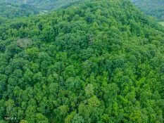$85,000 | 0 North Turkey Cove, Big Stone Gap, VA 24219