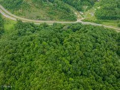 $85,000 | 0 North Turkey Cove, Big Stone Gap, VA 24219