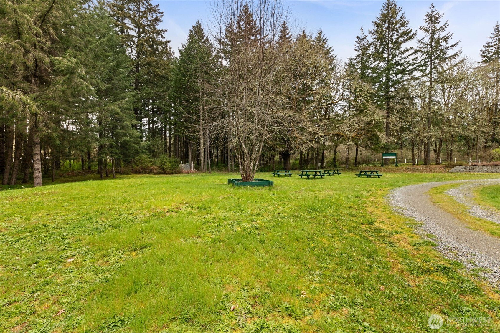 3046 Angus Road Southeast Tenino, WA 98589 - Photo 20 of 23 Gallery Image 20