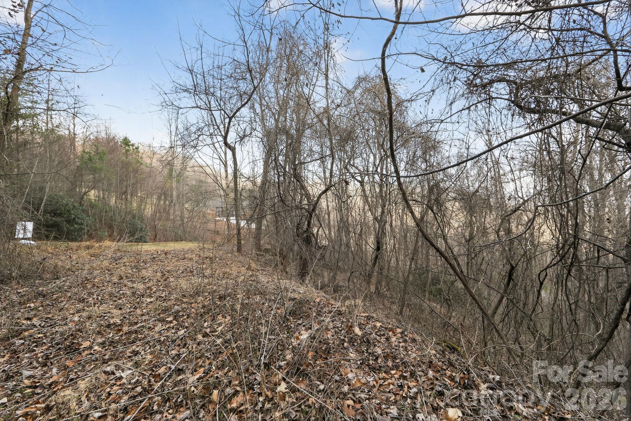 80 View Ridge Parkway Leicester, NC 28748 - Photo 12 of 15 Gallery Image 12