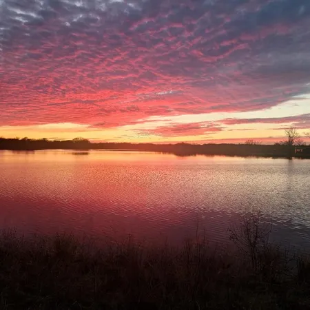 $12,000,000 | 648 County Road 2205, Ivanhoe, TX 75447