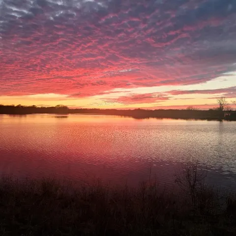 $11,100,000 | 648 County Road 2205, Ivanhoe, TX 75447