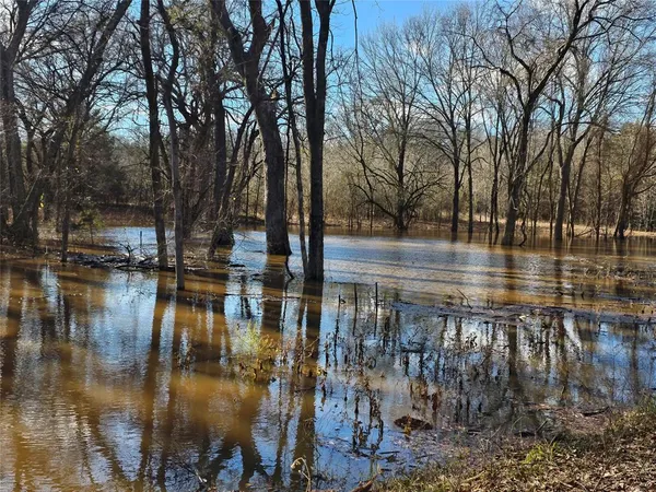 $12,000,000 | 648 County Road 2205, Ivanhoe, TX 75447