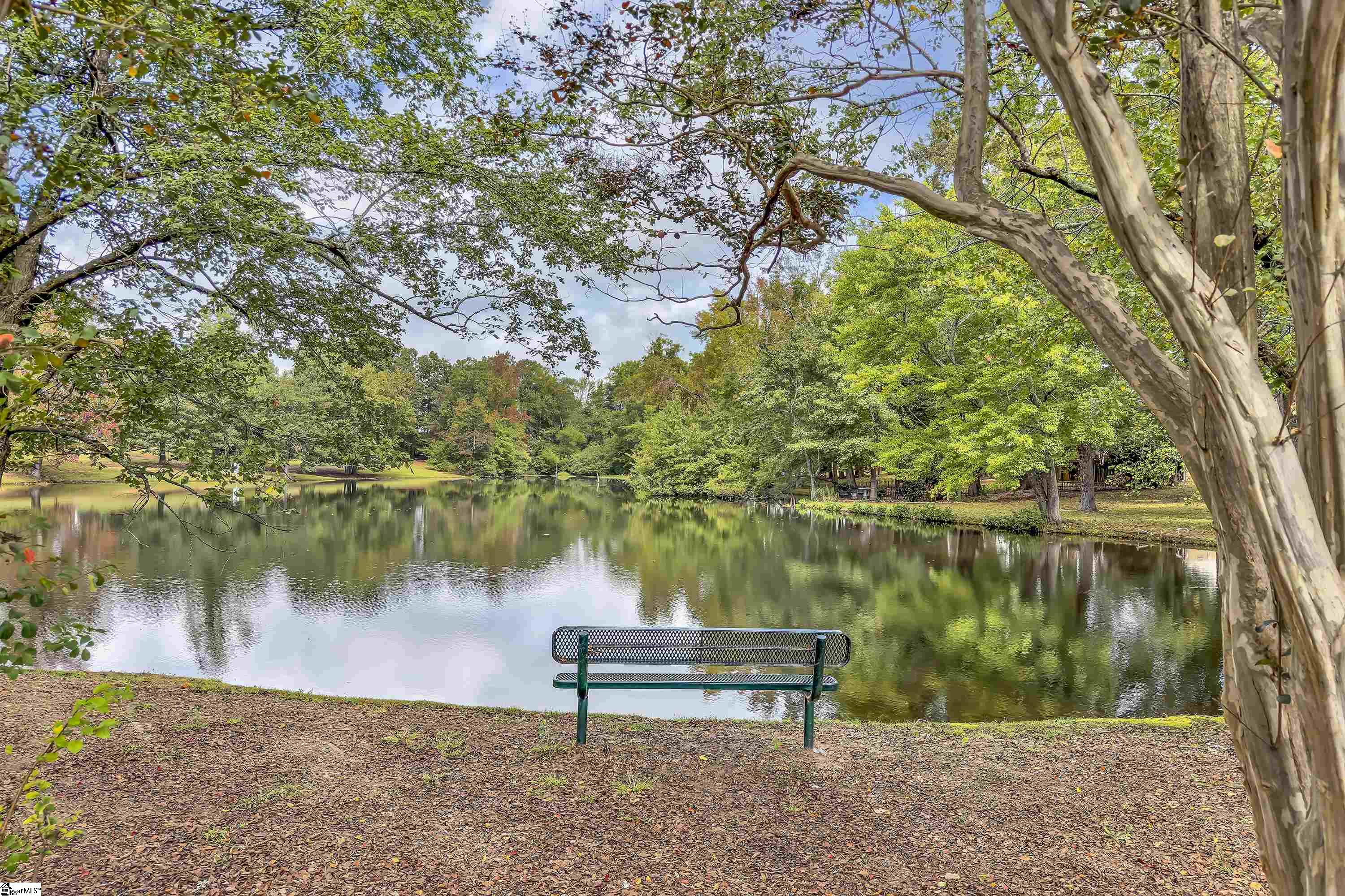 111 Golden Crest Court Mauldin, SC 29662 - Photo 21 of 25