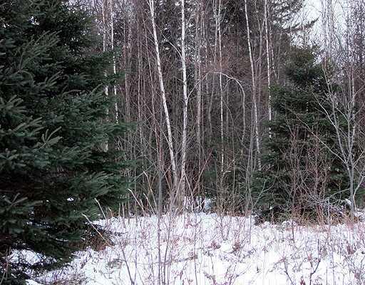 Lot 1 Off West Ridge Road Houlton, ME 04730 - Photo 14 of 14 Land.