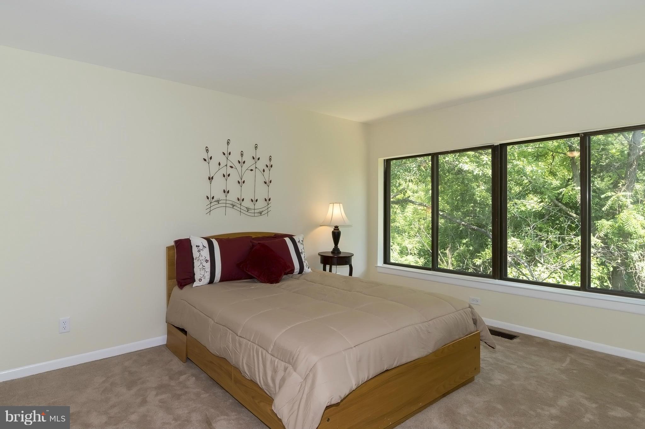 9728 Basket Ring Road Columbia, MD 21045 - Photo 16 of 30 Bedroom (Master)