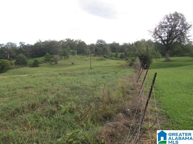 79 Highway 79, Unit 33 Cleveland, AL 35049 - Photo 10 of 32