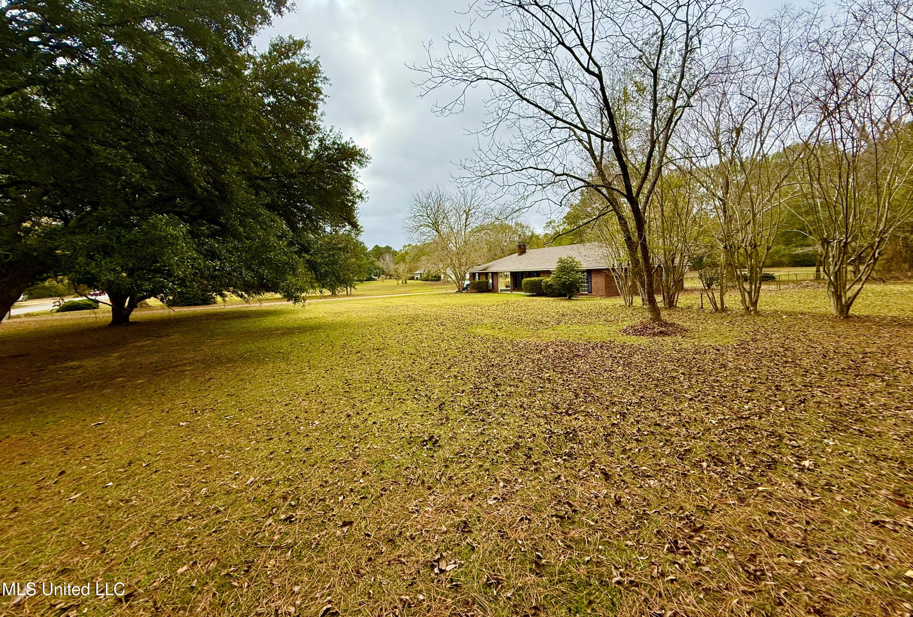 8105 Centerville Road Magnolia, MS 39652 - Photo 28 of 36 IMG_3251