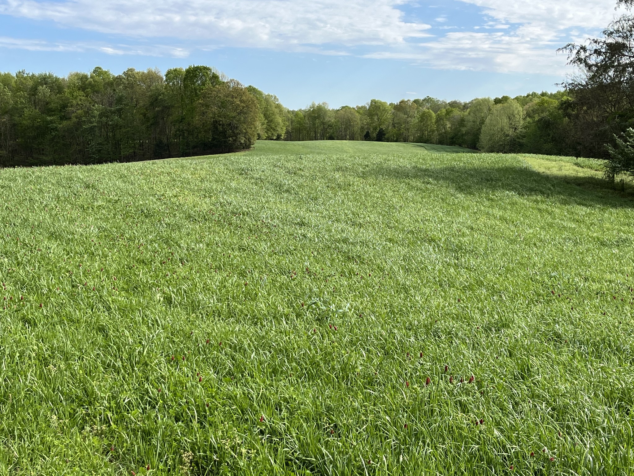 0 Johnson Road Lutts, TN 38471 - Photo 24 of 68 Gallery Image 24