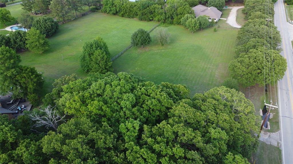 a lush green forest with lots of trees