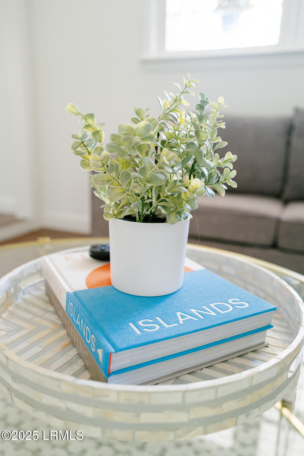 8 Mystic Circle Beaufort, SC 29902 - Photo 31 of 38 ARP 8 Mystic Circle-33