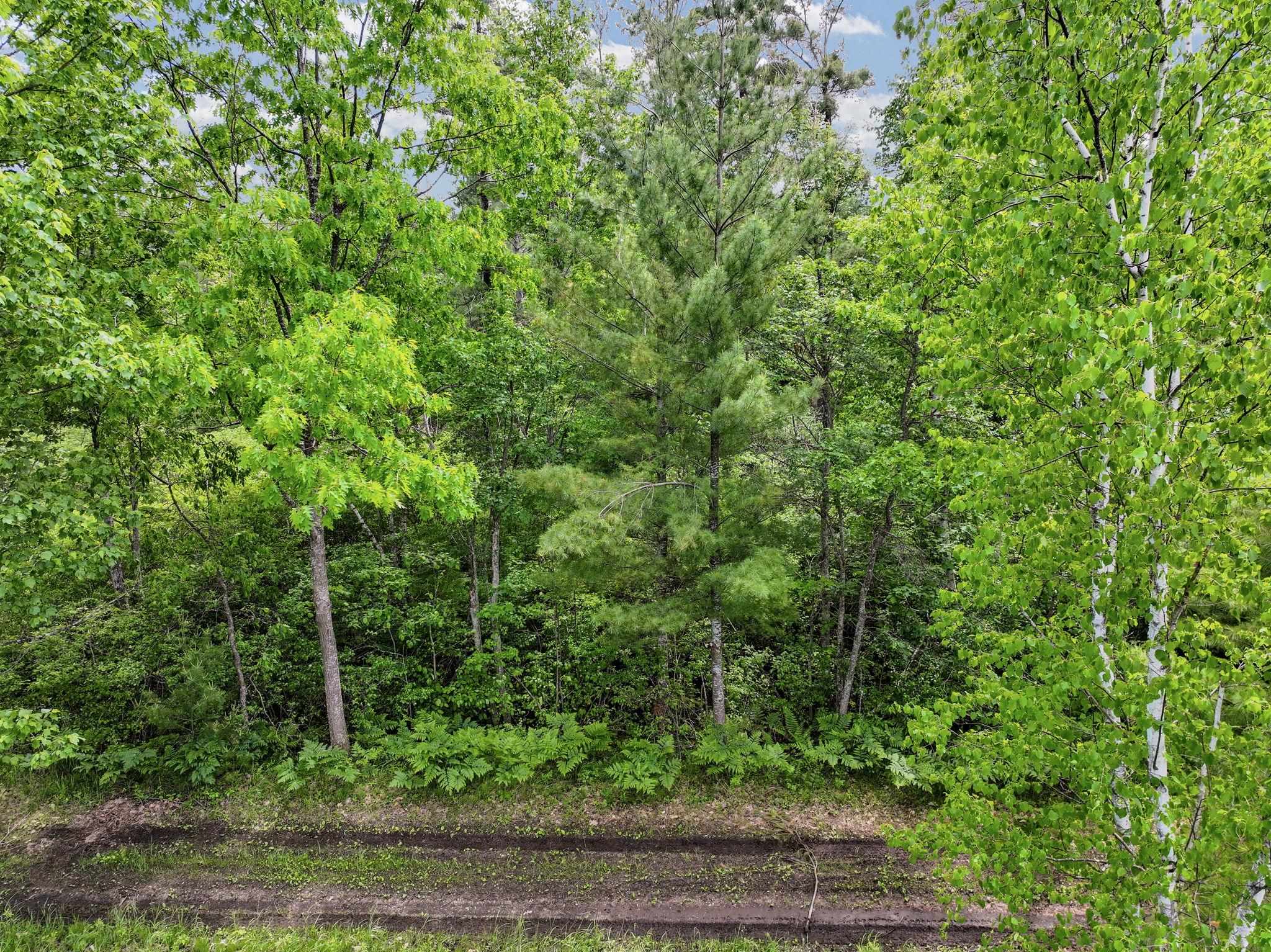 Parcel B Seeley Road Cadillac, MI 49651 - Photo 8 of 17