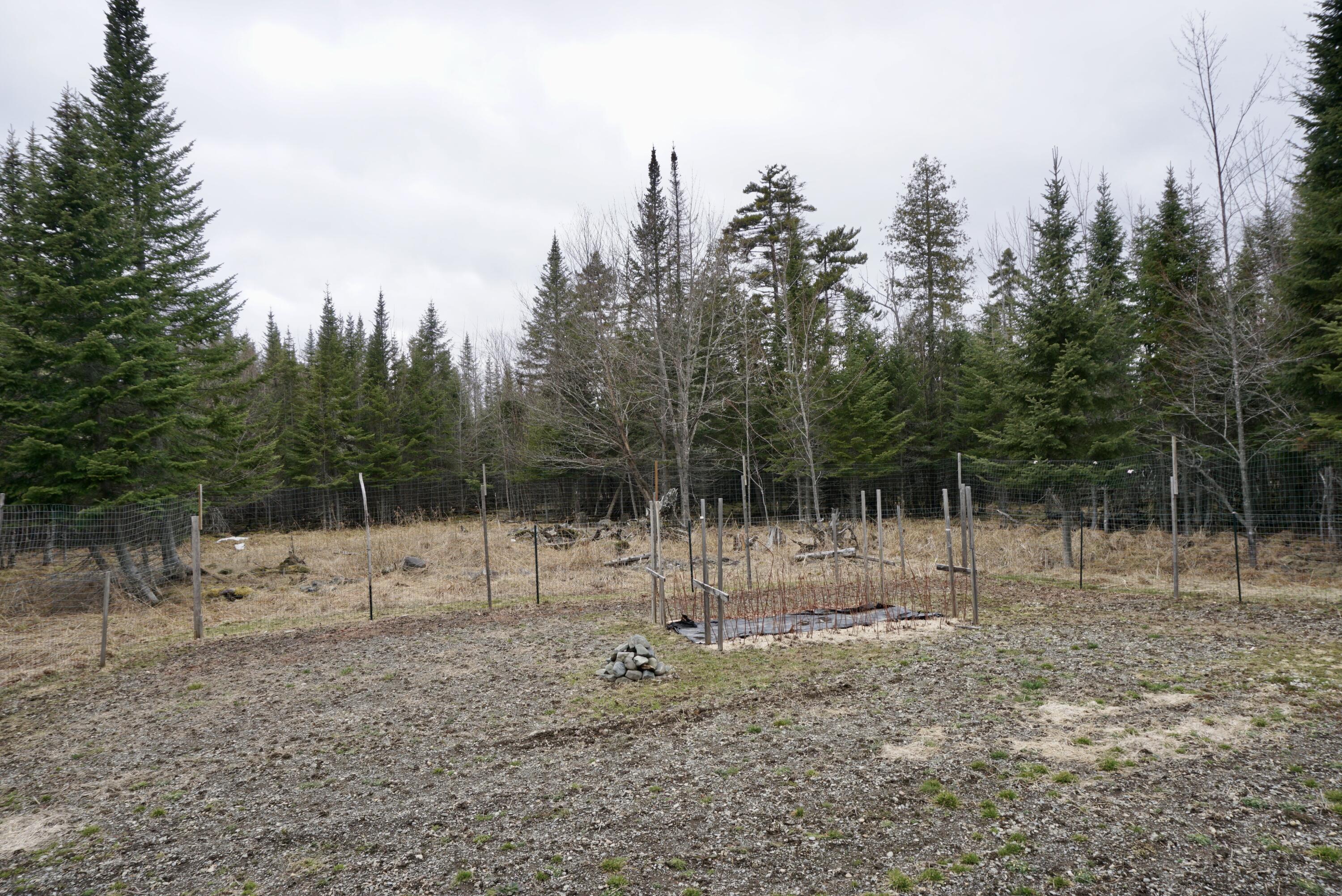 258 North Ridge Road Beaver Cove, ME 04441 - Photo 45 of 48 E685B056-FACF-4DE5-B001-6541CE1BC91D_1_2
