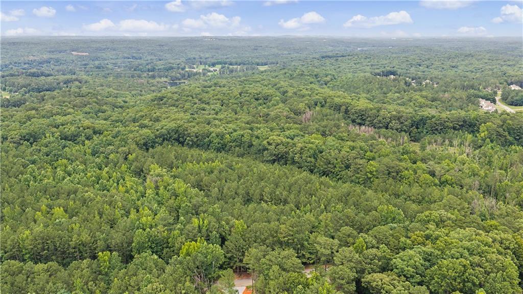 0 Cedar Grove Road Fairburn, GA 30213 - Photo 7 of 9