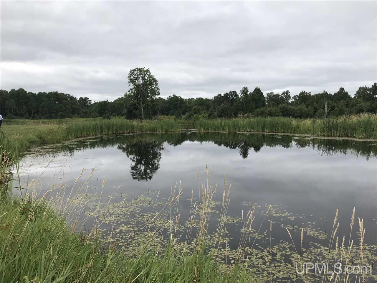 26498 Horoscope Road Pelkie, MI 49958 - Photo 38 of 43
