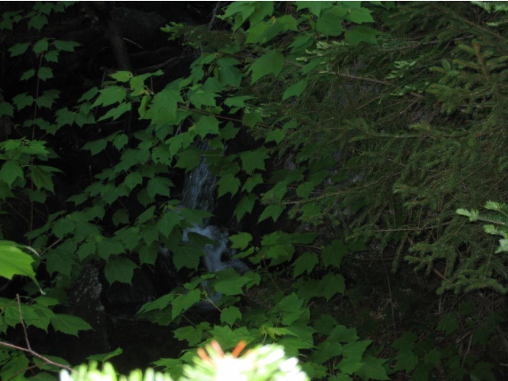 46 Davis Road Brighton, VT 05846 - Photo 16 of 28 Gallery Image 16