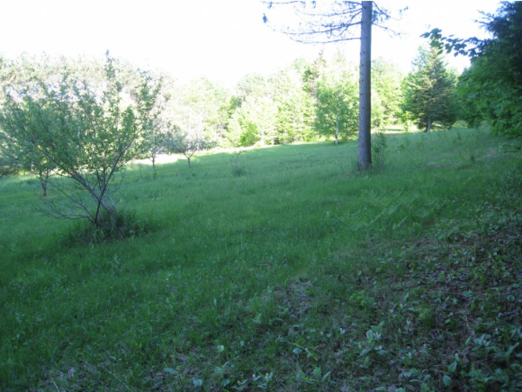 46 Davis Road Brighton, VT 05846 - Photo 18 of 28 Gallery Image 18