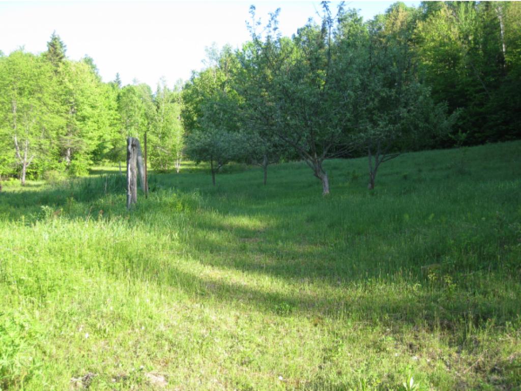 46 Davis Road Brighton, VT 05846 - Photo 24 of 28 Gallery Image 24