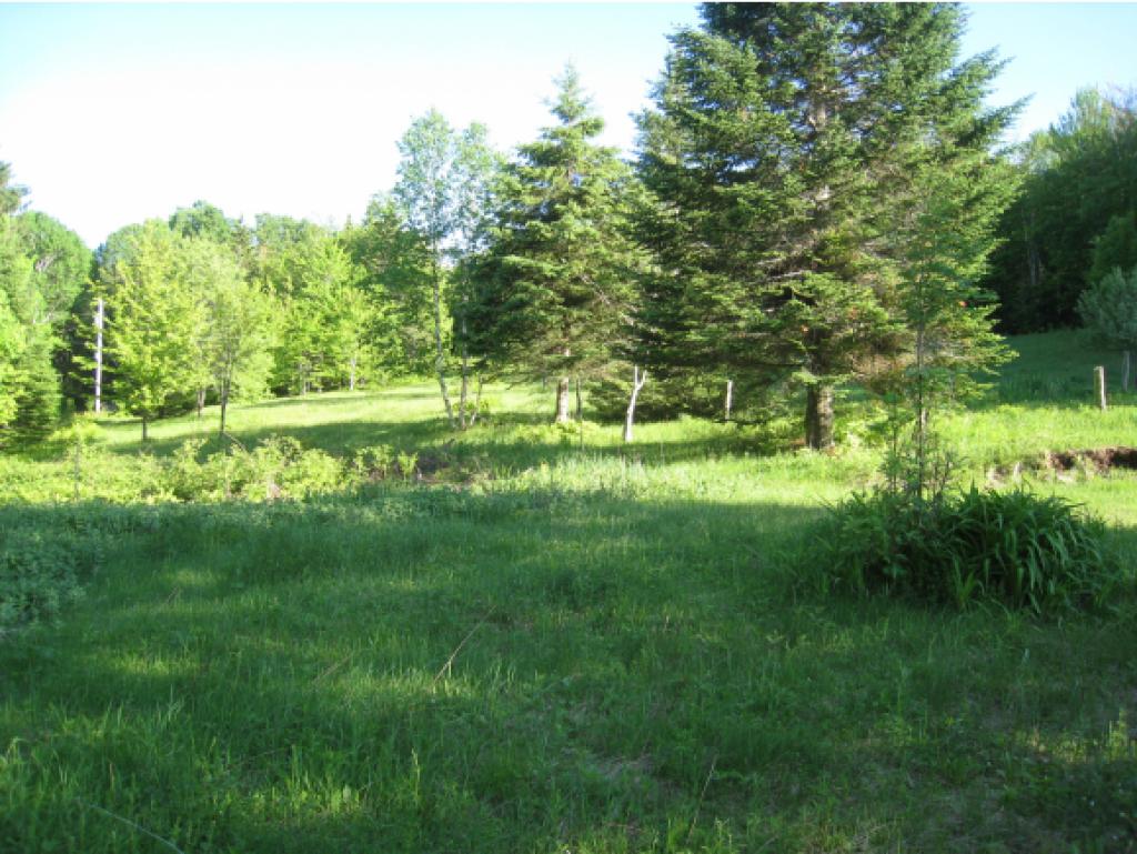 46 Davis Road Brighton, VT 05846 - Photo 25 of 28 Gallery Image 25