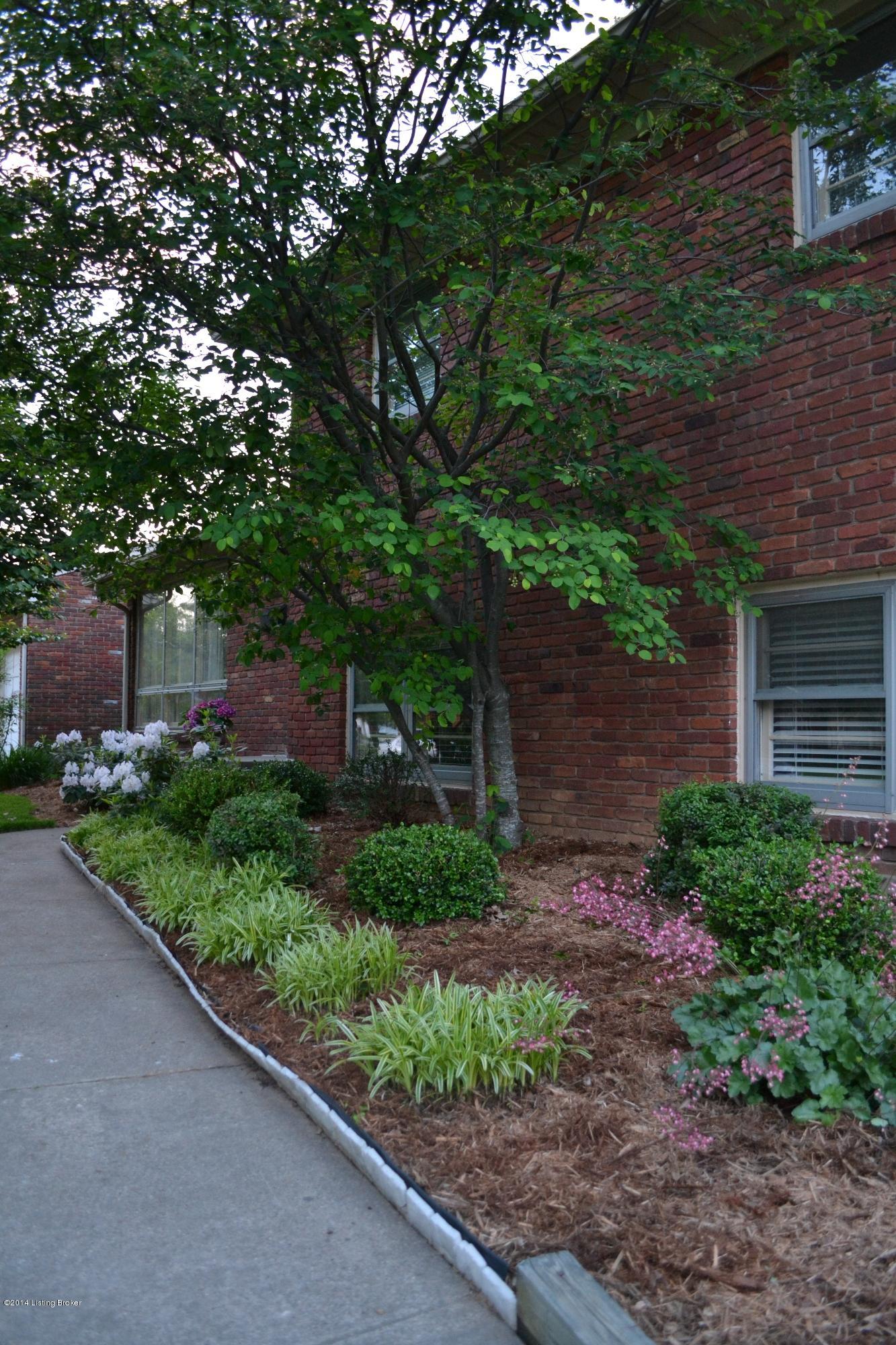 2907 Sheldon Road Louisville, KY 40218 - Photo 22 of 22 DSC_0319
